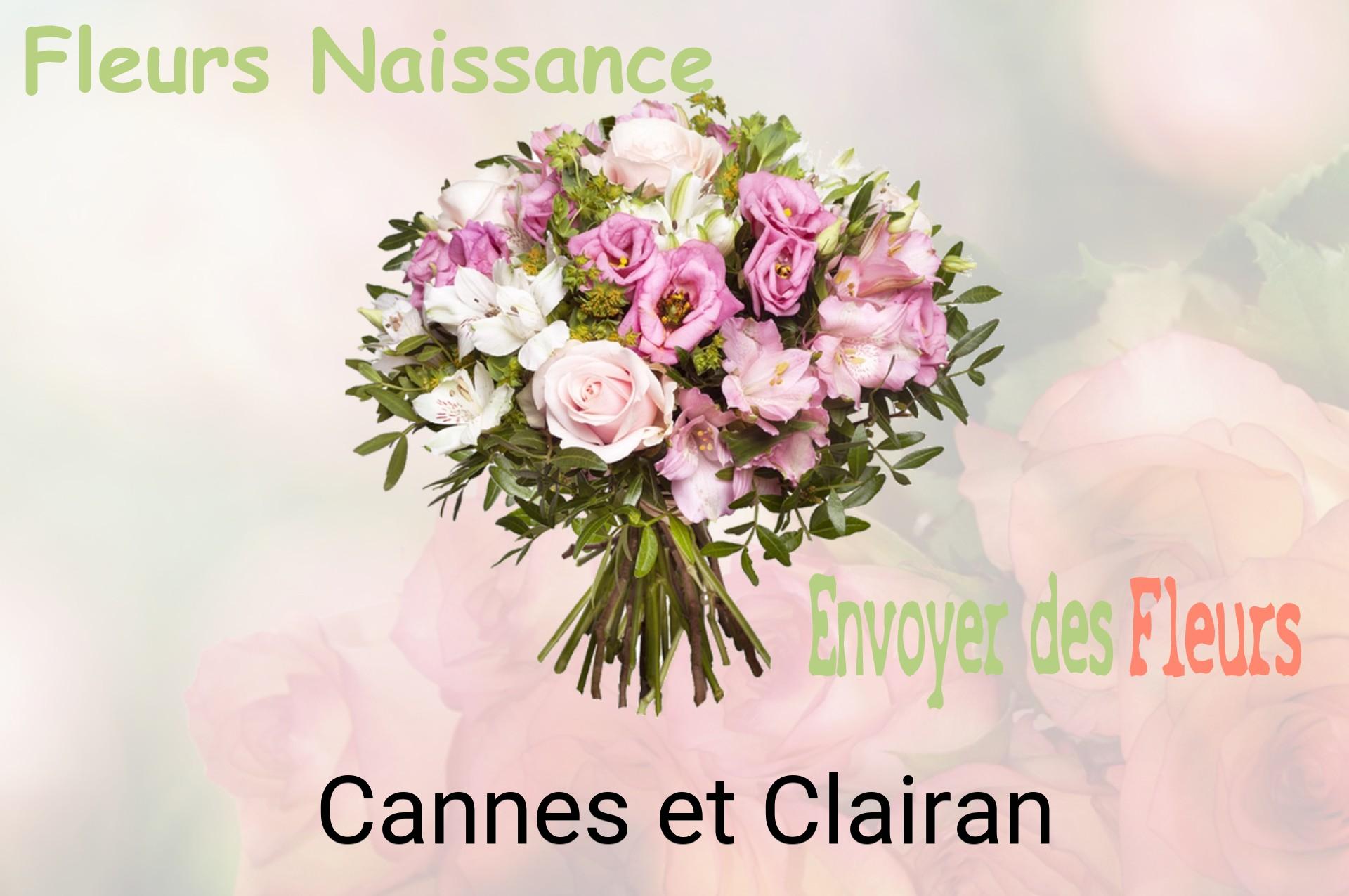 Bouquet de fleurs de naissance livré à Cannes-et-Clairan